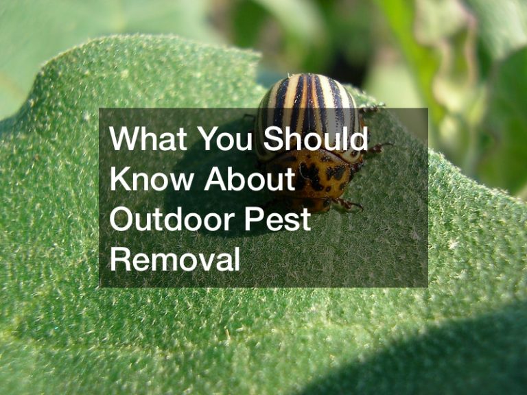 What You Should Know About Outdoor Pest Removal