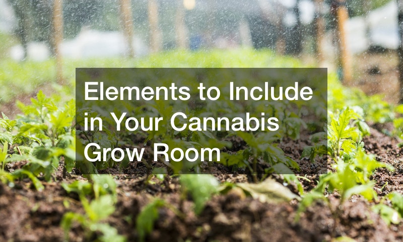 cannabis grow room