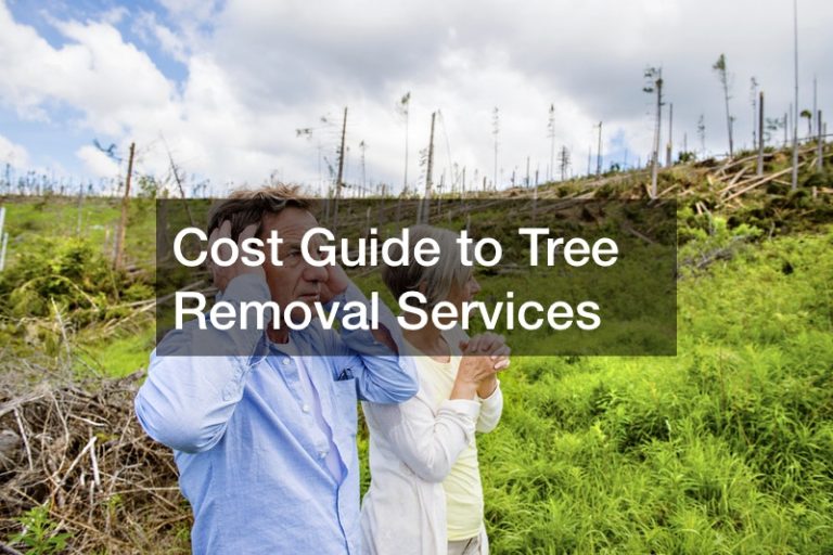 Cost Guide to Tree Removal Services