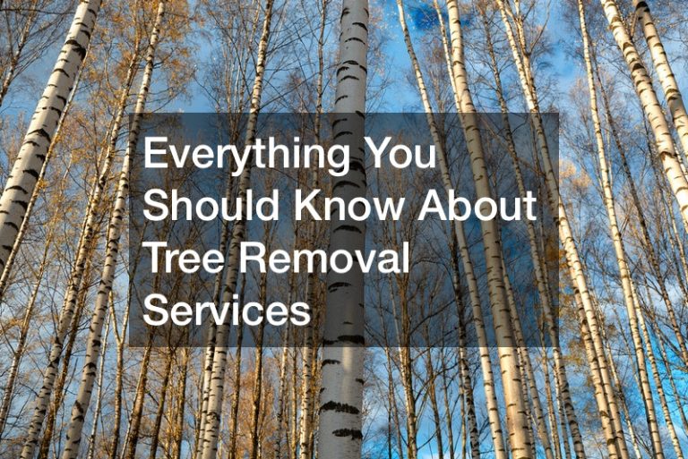 Everything You Should Know About Tree Removal Services