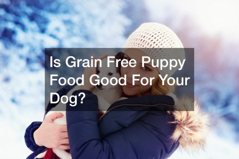 Is Grain Free Puppy Food Good For Your Dog?