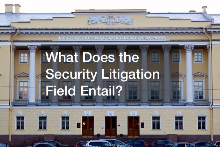 What Does the Security Litigation Field Entail?