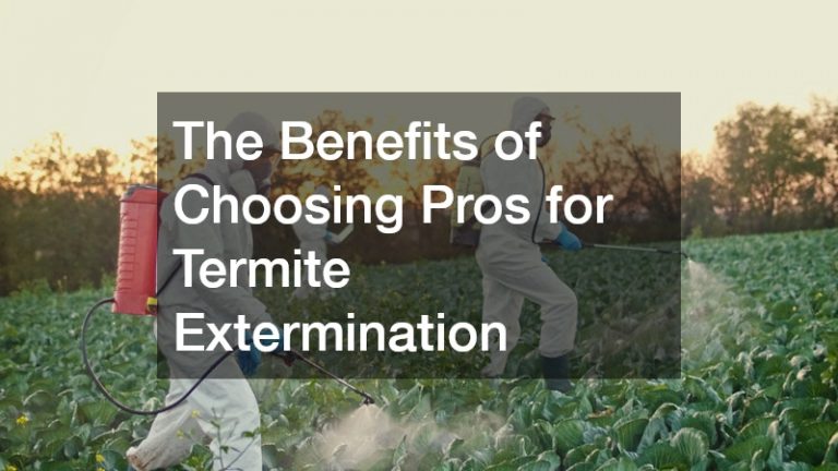 The Benefits of Choosing Pros for Termite Extermination