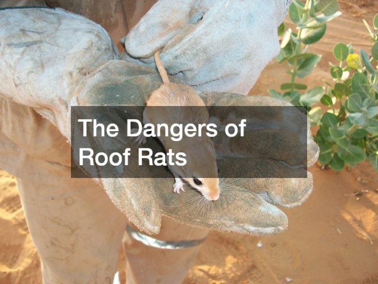 The Dangers of Roof Rats